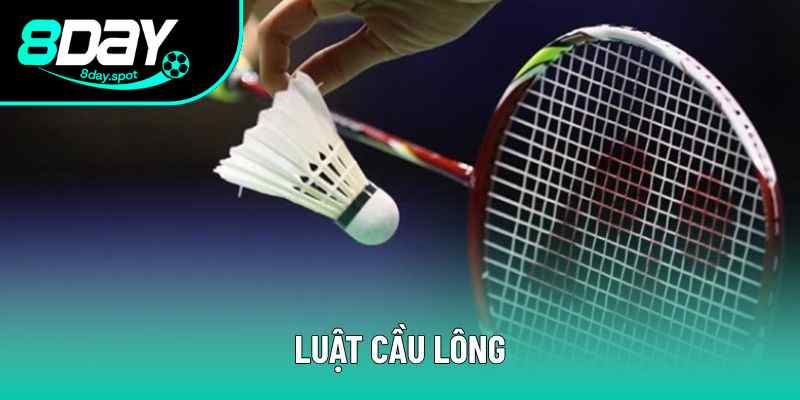 Luật Cầu Lông Chi Tiết Và Rõ Ràng Nhất Cho Người Mới Chơi