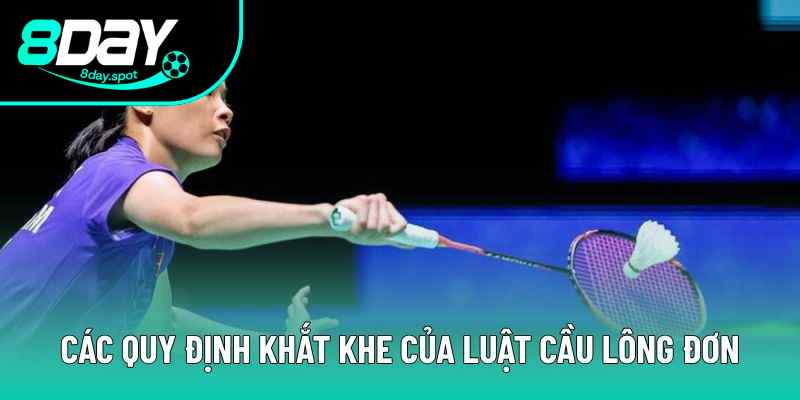 Các quy định khắt khe của luật cầu lông đơn Các quy định khắt khe của luật cầu lông đơn