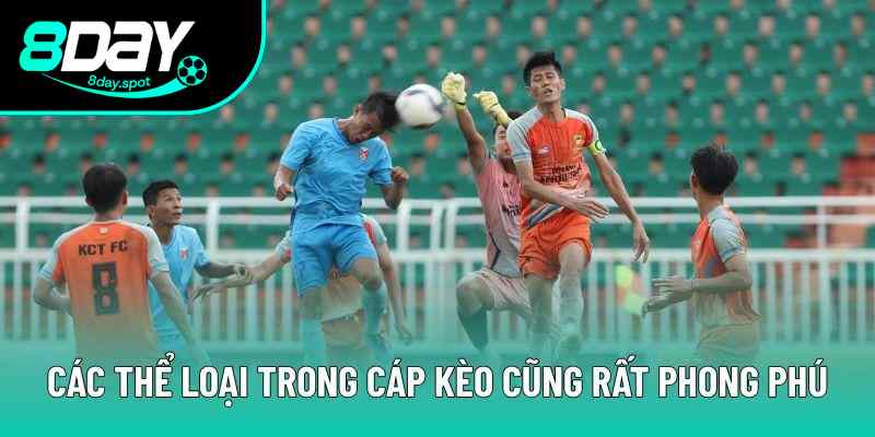 Các thể loại trong cáp kèo cũng rất phong phú Các thể loại trong cáp kèo cũng rất phong phú