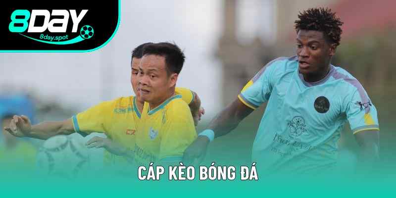 Cáp Kèo Bóng Đá | Thuật Ngữ Cá Cược Bóng Đá Quan Trọng Nhất