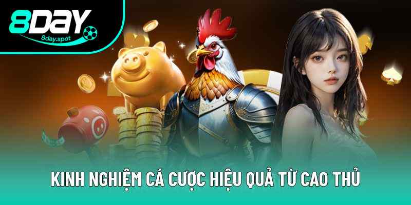 Tham khảo kinh nghiệm cá cược hiệu quả từ cao thủ Tham khảo kinh nghiệm cá cược hiệu quả từ cao thủ