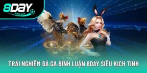 Tất Tần Tật Về Trải Nghiệm Đá Gà Bình Luận 8DAY Siêu Kịch Tính 9 Đá Gà Bình Luận - Trải Nghiệm Giải Trí Ấn Tượng Nhất 2025