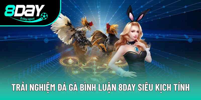 Đá Gà Bình Luận - Trải Nghiệm Giải Trí Ấn Tượng Nhất 2025