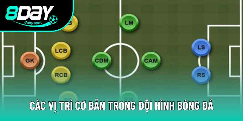 Các vị trí trong đội hình bóng đá Các vị trí trong đội hình bóng đá
