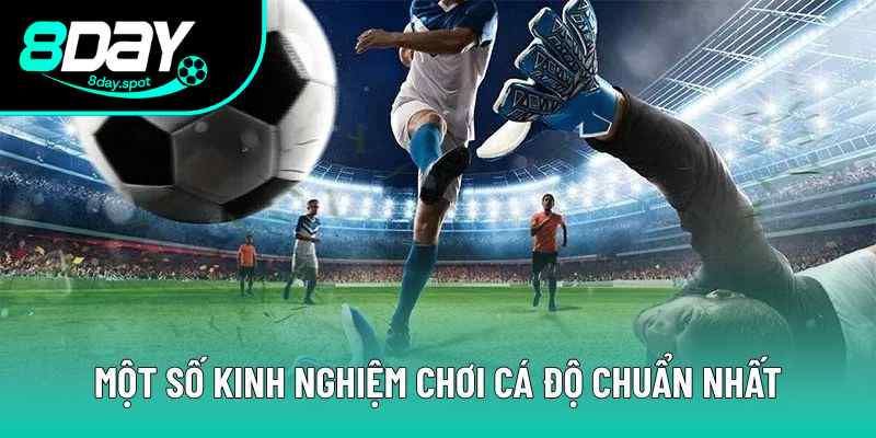 Một số kinh nghiệm chơi cá độ chuẩn nhất Một số kinh nghiệm chơi cá độ chuẩn nhất