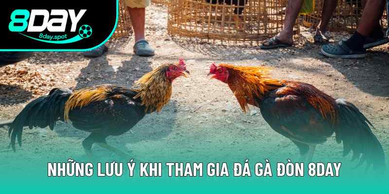 Chú ý khi cá cược đá gà đòn truyền thống Chú ý khi cá cược đá gà đòn truyền thống