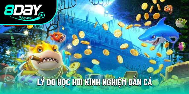 Lý do cần liên tục trau dồi kinh nghiệm bắn cá Lý do cần liên tục trau dồi kinh nghiệm bắn cá