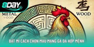 Màu Mạng Gà Đá Chuẩn Ngũ Hành Giúp Tăng Tỉ Lệ Thắng Kèo 9 Bật Mí Cách Chọn Màu Mạng Gà Đá Hợp Mệnh Để Áp Đảo Đối Thủ