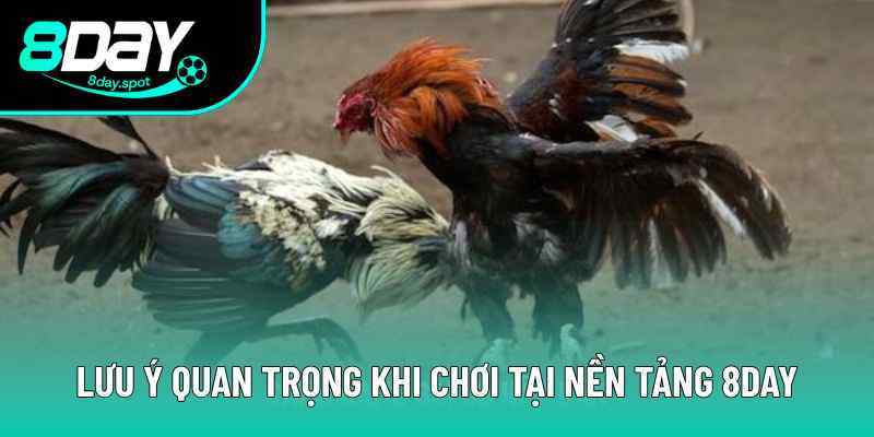 Bạn cần nắm những quy tắc ngầm để chơi tốt tại 8DAY Bạn cần nắm những quy tắc ngầm để chơi tốt tại 8DAY